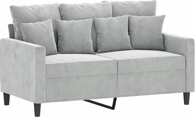 Divano | Divano da soggiorno | Sofa a 2 Posti Grigio Chiaro 120 cm in Velluto