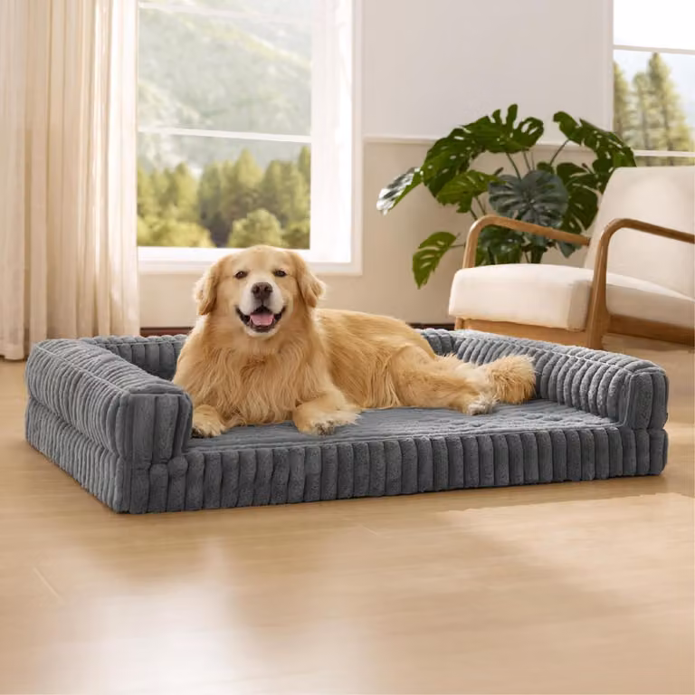 Cuccia ortopedica per cani, colore grigio, dimensioni 122x89x20 cm, con imbottitura in memory foam e rivestimento idrorepellente