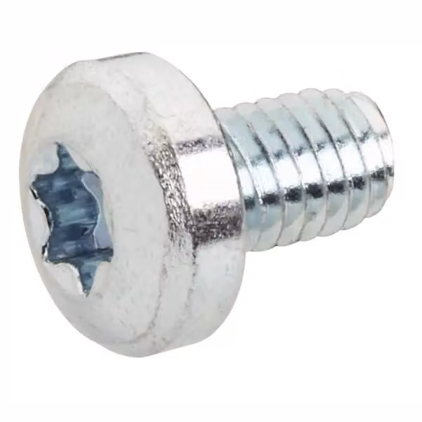 Striebel e John RZ12P500 Vite a testa bombata M6x10 Torx T30 2CPX046001R9999