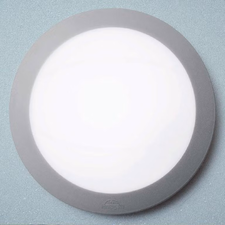 Plafoniera LED rotonda, grado di protezione IP66, 2 attacchi E27, colore grigio, vetro opale