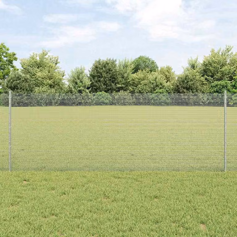 Maison Exclusive - Recinzione con Posto Argento 0,8 x 50 m Acciaio