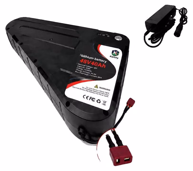Batteria, capacità 40Ah, custodia rigida impermeabile, 48V 40AH - tipo T
