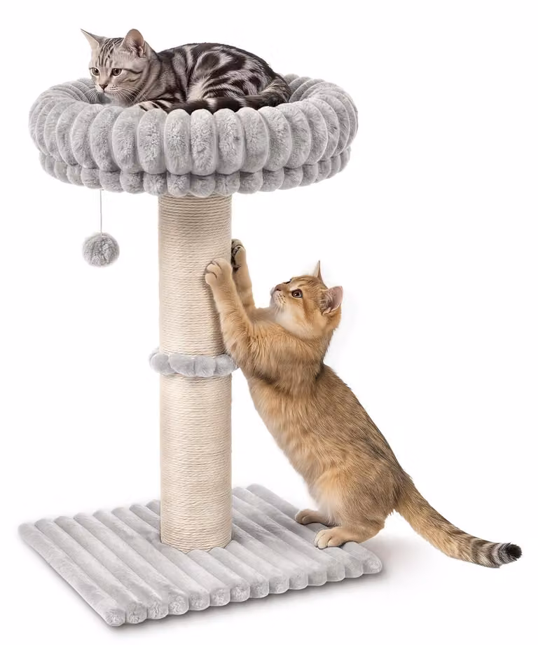 Solidchoice - Tiragraffi con seduta per gatti domestici, grigio chiaro