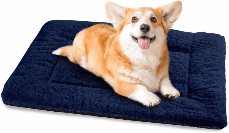 Cuccia per cani, grande, blu navy, 75 x 50 cm, adatta sia per interni che per esterni