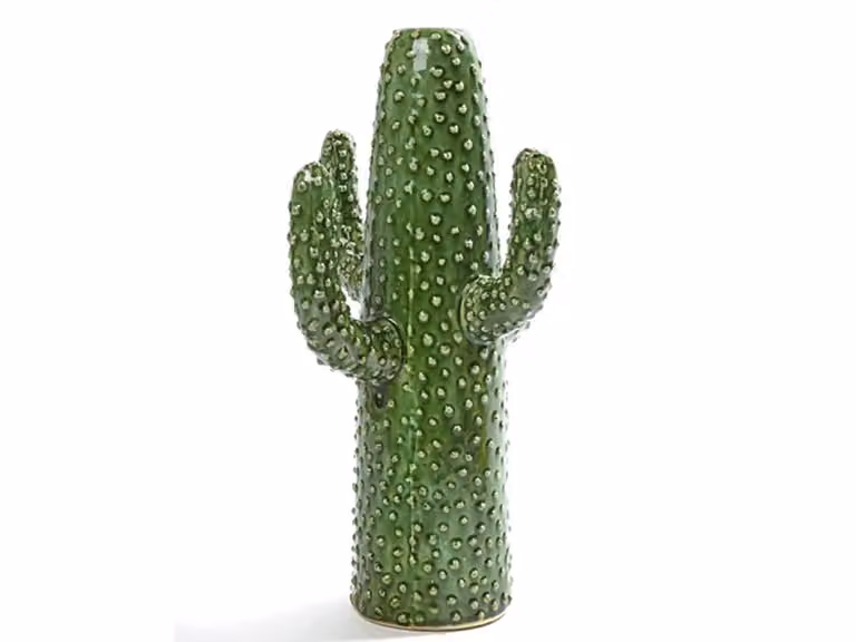 Cactus Vaso - Grande