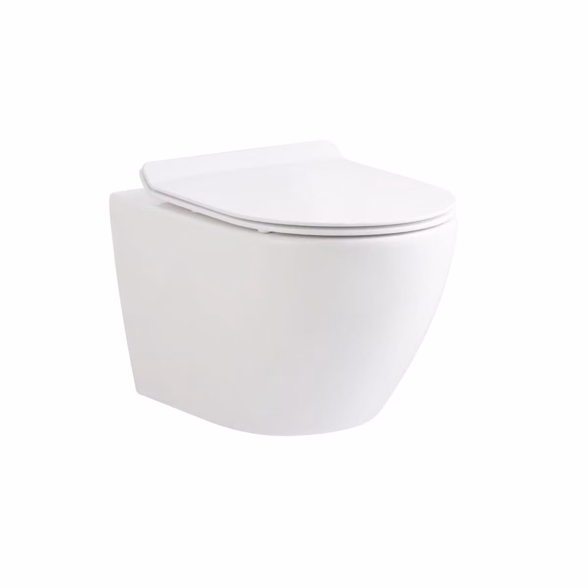 BELVIT WC sospeso senza bordo, bianco lucido, forma a D e versione ridotta da 49 cm - WC sospeso senza bordo con sedile in Duroplast con chiusura ammortizzata, rimovibile