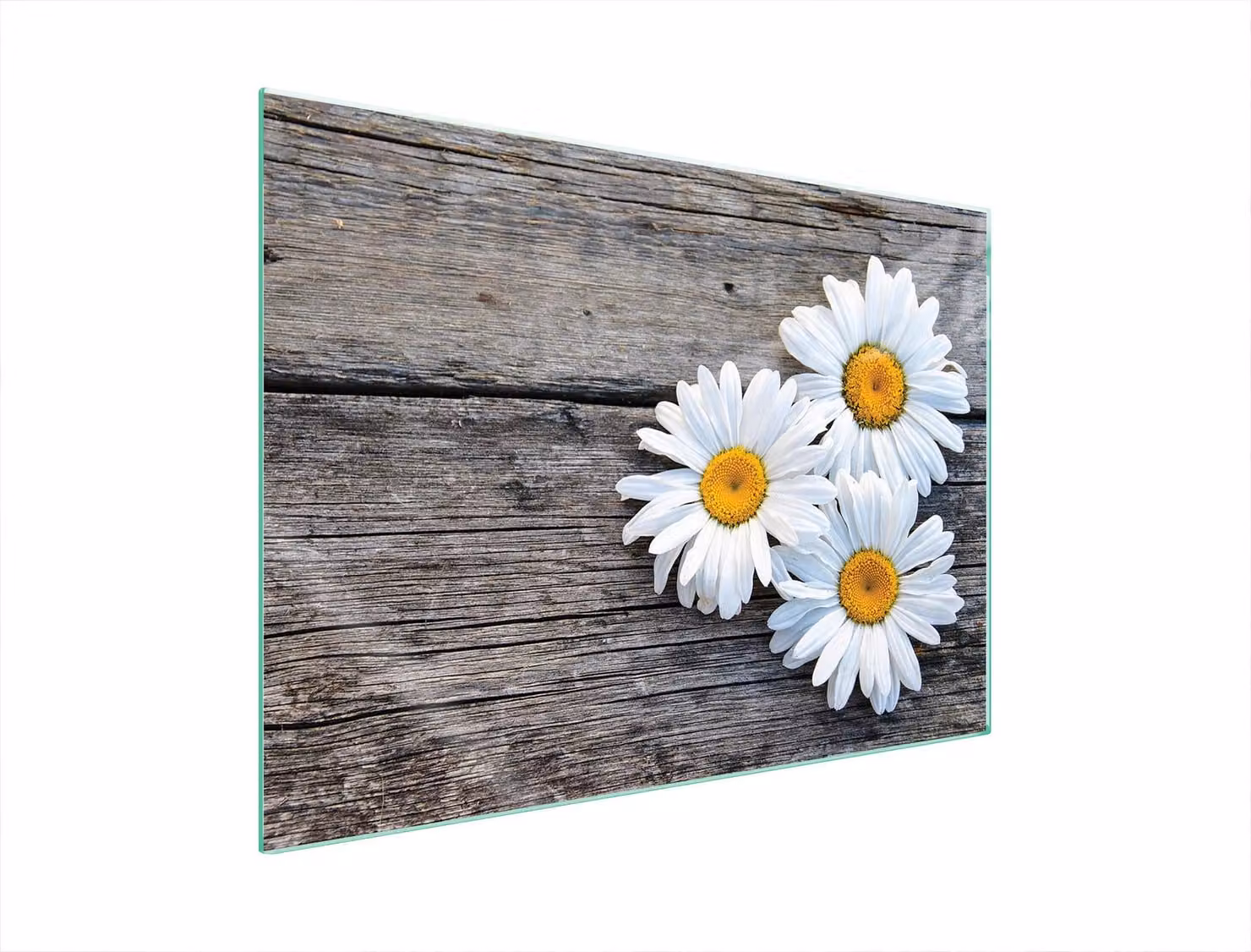 Piastra Protettiva In Vetro Per Levatori 70X52 Daisy