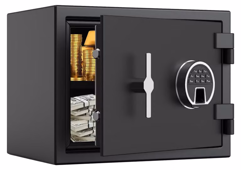 Cassaforte ignifuga con riconoscimento biometrico (impronta digitale) - Capacità: 16,6 litri - Dimensioni: 30x38x30 cm