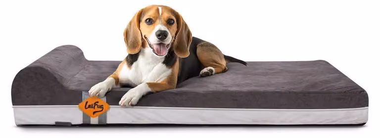 Cuccia ortopedica per cani, in memory foam, colore grigio, dimensioni 101x63x15 cm