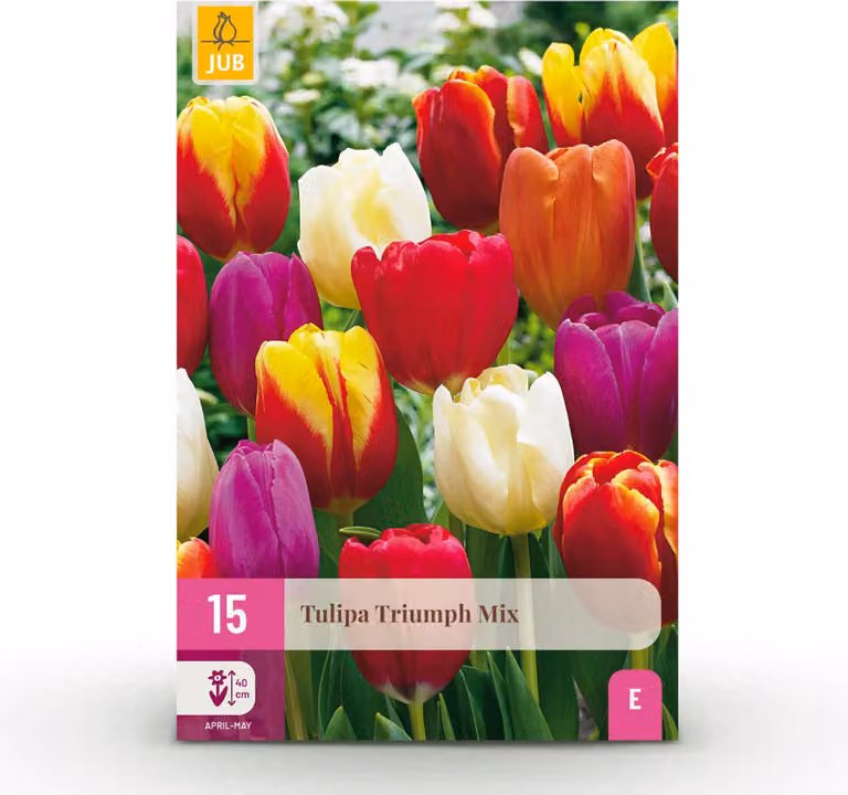Bulbi da fiore - Tulipano 'Triumph mix' - Vari colori - 15 pezzi - Bulbo misura 11/12 - 20-50cm - Ø5cm - Pianta da giardino - Multideal
