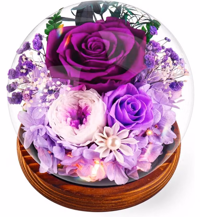 Rosa eterna con luce, colore viola. Set regalo con fiore conservato, ideale per compleanni o per la festa della mamma