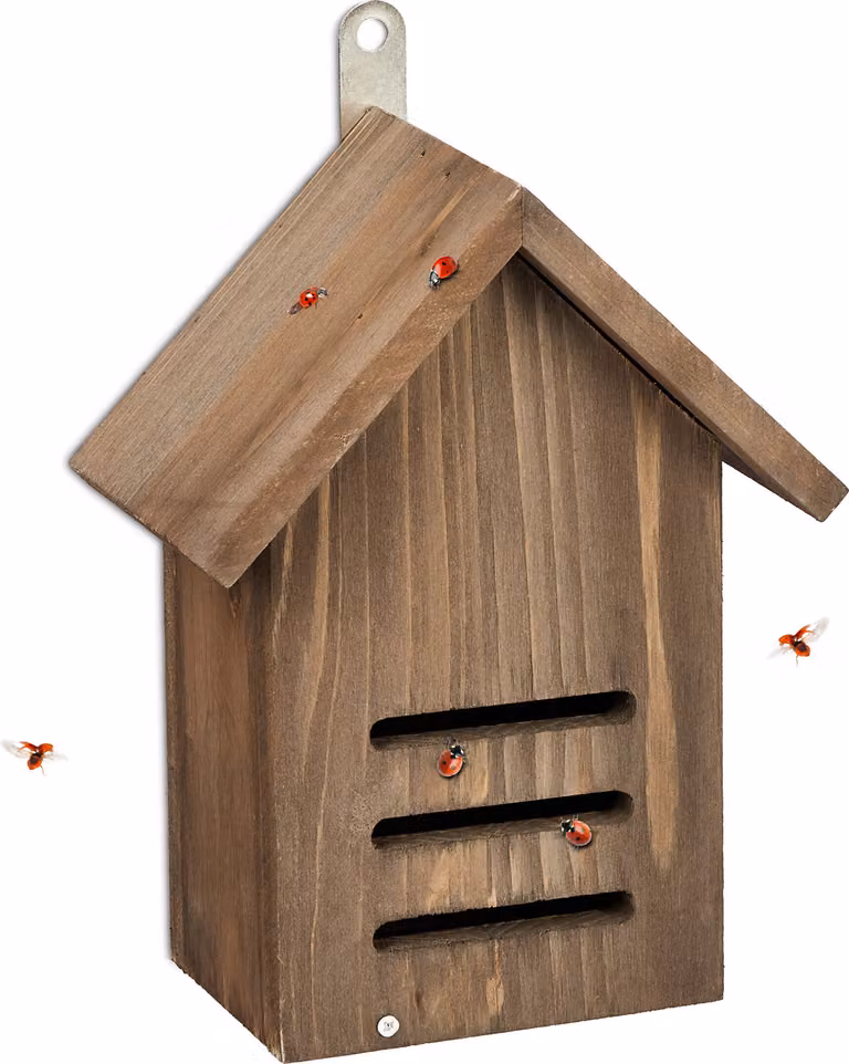 Relaxdays Casetta per coccinelle, hotel per coccinelle da giardino, da appendere, legno non trattato, A x L x P: 22 x 17 x 10 cm, marrone