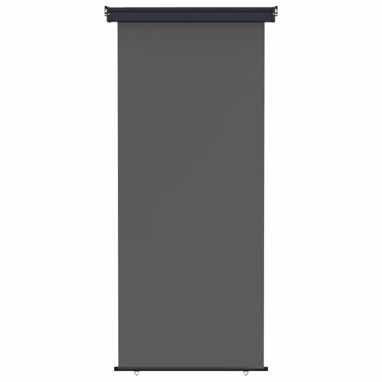 Tenda laterale per balcone vidaXL in poliestere e acciaio, colore antracite/grigio, L: 100 cm, H: 250 cm