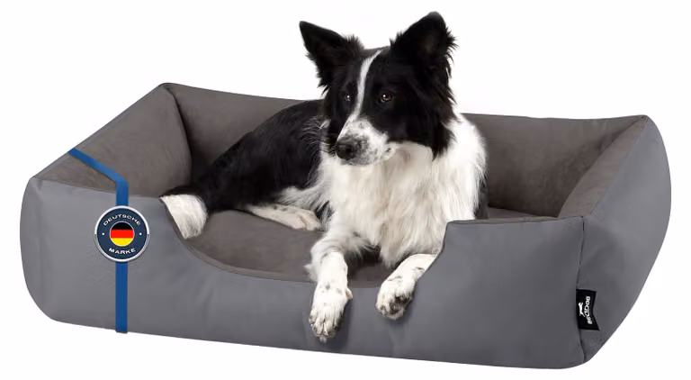 BedDog letto per cani ZARA cuscino per cani con rivestimento lavabile cestino per cani divano per cani, STEEL-GREY (grigio),(XL) circa 100x85x23cm