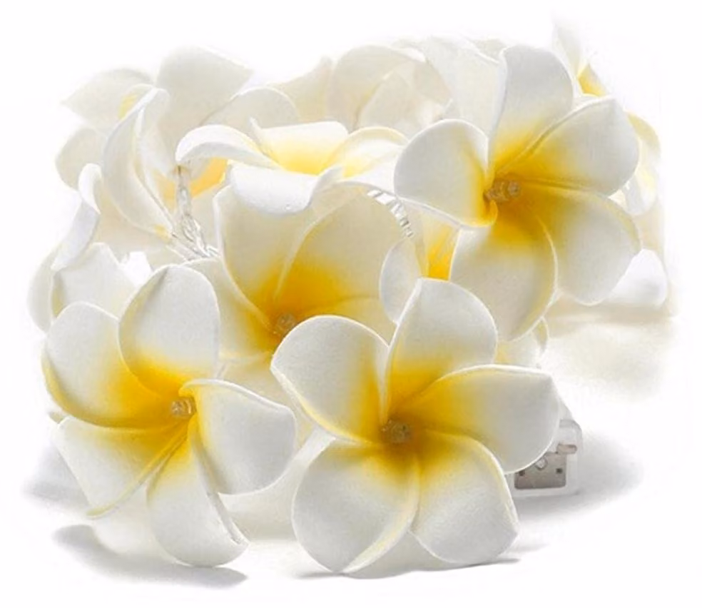 Catena luminosa con fiori di gelsomino, 10 LED, impermeabile, alimentata a batteria