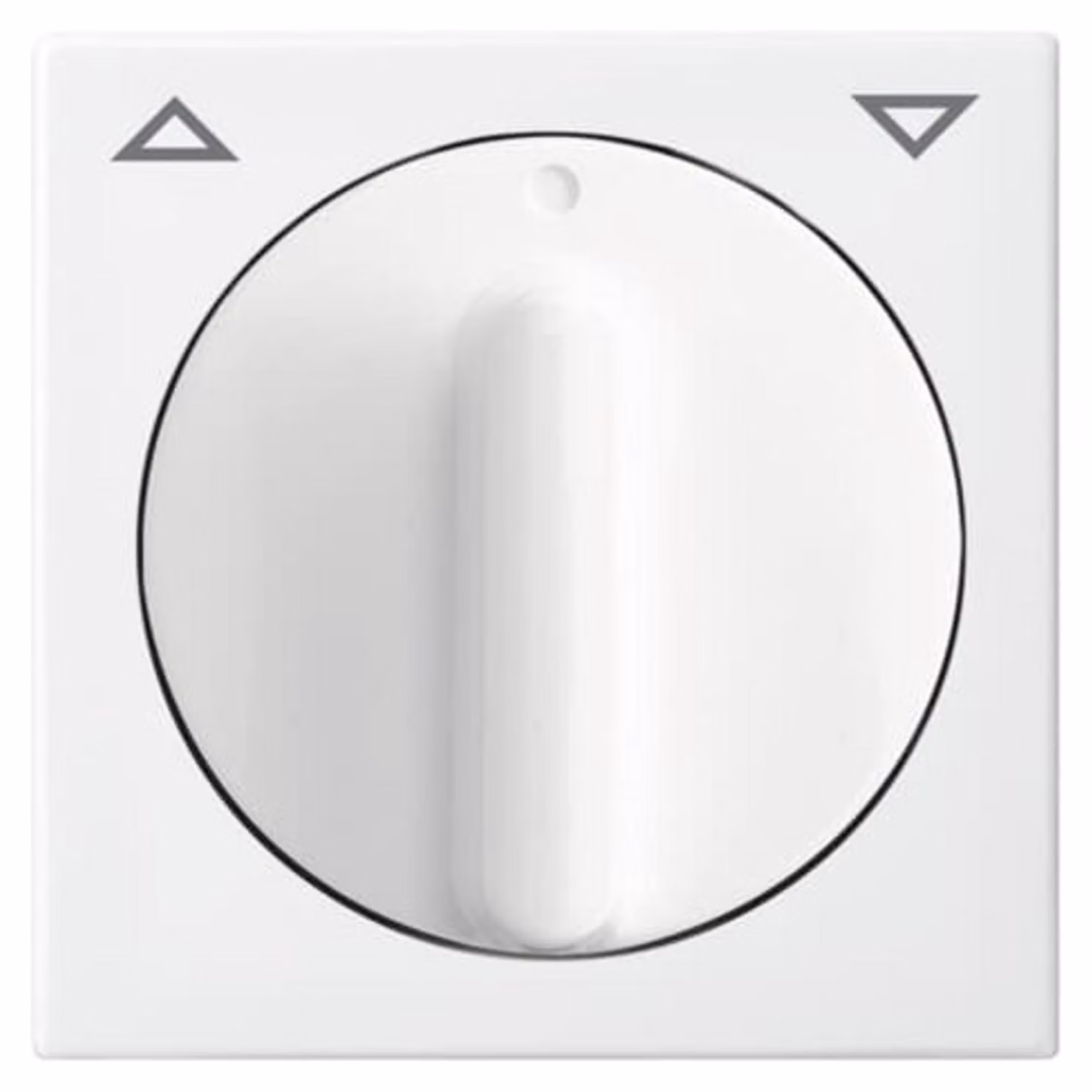 Busch-Jaeger disco centrale per tende/temporizzatori 2542 DR-914