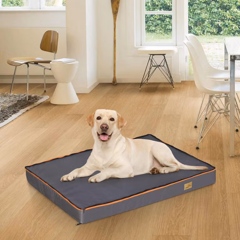 Letto ortopedico grande per cani, con rivestimento lavabile