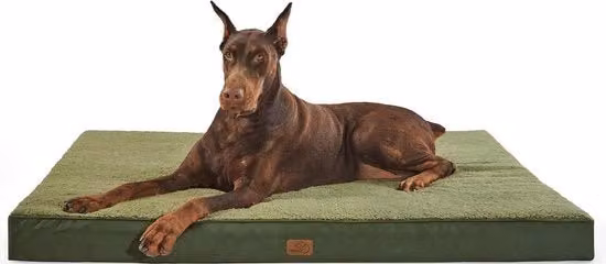 Letto ortopedico Bedsure per cani grandi, L: 137 cm, P: 111,5 cm, H: 10 cm, colore verde, con imbottitura in schiuma e fodera rimovibile antiscivolo