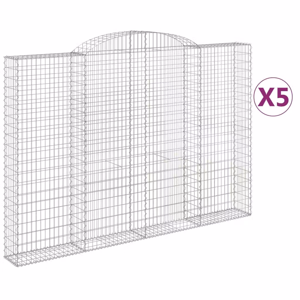 Cesti Gabbioni ad Arco 5 pz 300x30x200/220 cm Ferro Zincato