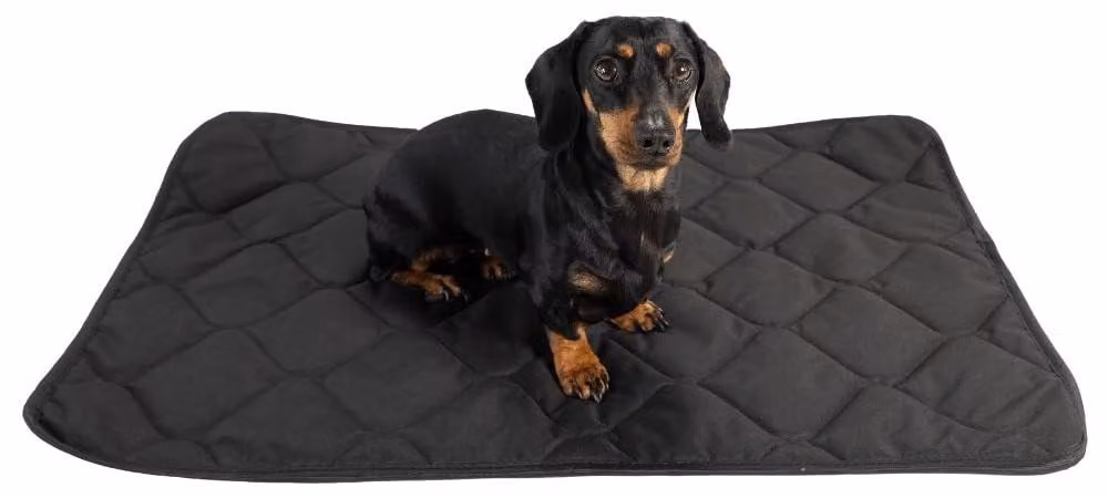 Elzusha - Cuccia per cani, impermeabile - 80 x 60 cm - Antiruggine - Resistente ai graffi - Imbottitura di 300 g/m² - Lavabile fino a 40 °C - Letto per cani