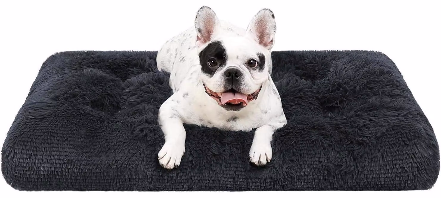Cuccia per cani, lavabile, in peluche, 60x45 cm, grigio scuro, base antiscivolo, traspirante