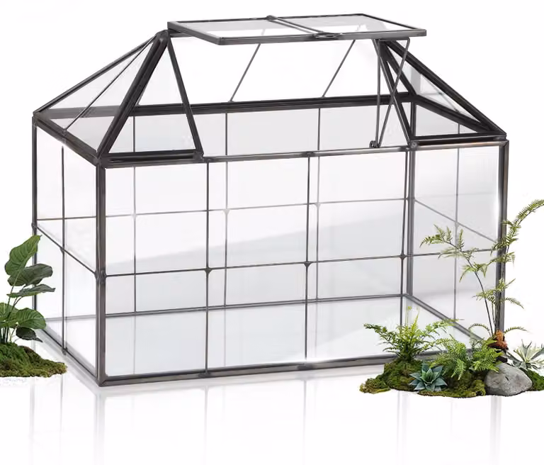 Mini serra, dimensioni 23,3 x 13,6 x 18 cm, in vetro, ideale per piante succulente