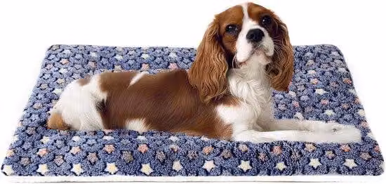 Coperta per cani - Cuscino per gatti - Design a stelle ultra-sottile - Tappetino antigraffio lavabile - Cuscino per cani - Perfetto per cani di grossa taglia - Adatto a cani di taglia media - Ideale per cani di piccola taglia - Cuscini per animali domesti