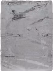 Tappeto rettangolare moderno Bizzotto TIRIL Argento L: 170 cm, P: 120 cm