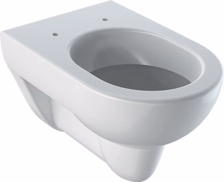 Geberit Wand-Tiefspül-WC Renova 540mm Ausladung weiß