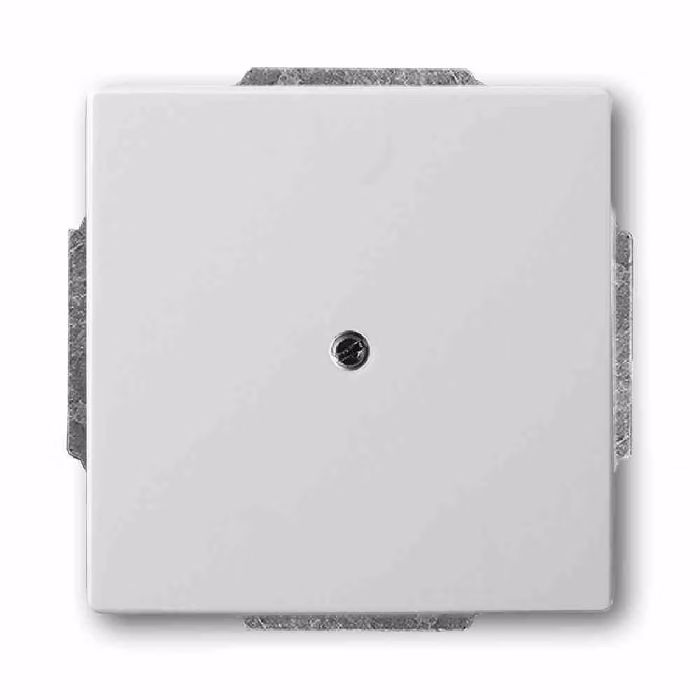 Piastra del centro Busch-Jaeger eds 1749-866 2CKA001710A3752