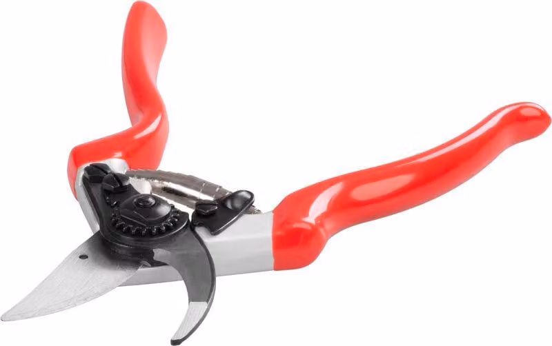 Forbici Strend Pro Premium 3103A-4, da giardino, per rami
