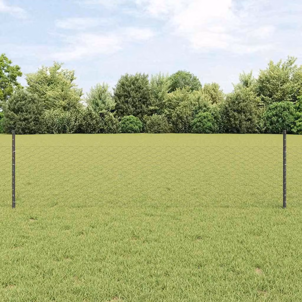 Maison Exclusive - Recinzione con paletto Grigio 0,5 x 25 m Acciaio