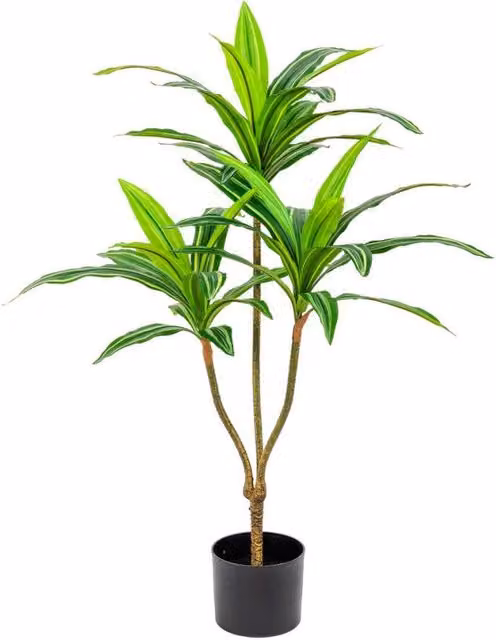 Set di 6 Piante Dracena Sintetica Real Touch H95cm Vaso Plastica 39lvs