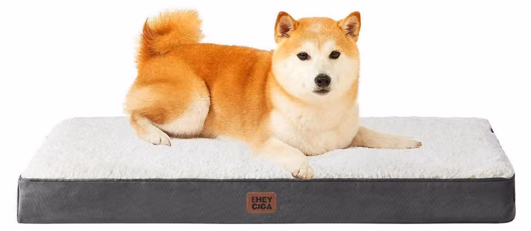 Cuccia ortopedica per cani, 91x68 cm, color beige, adatta a cani di taglia media e grande