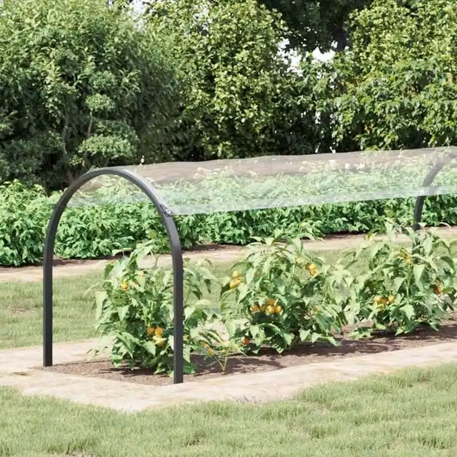 Copertura per piante vidaXL in PVC trasparente per protezione invernale L: 20 m, P: 1,5 m