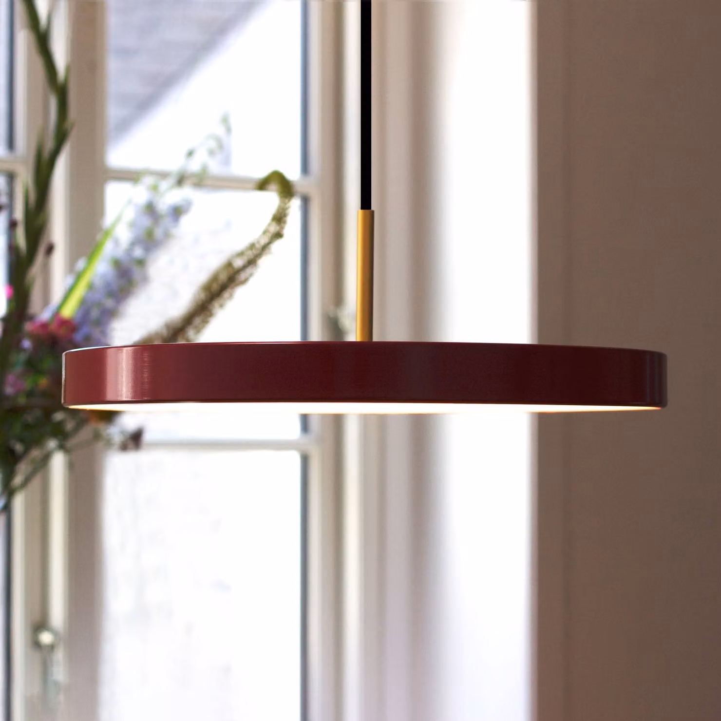 UMAGE Lampada LED a sospensione Asteria, misura media, in ottone rosso Asteria medium, dimmerabile, Rosso, Soggiorno / Sala da pranzo, Alluminio, Design