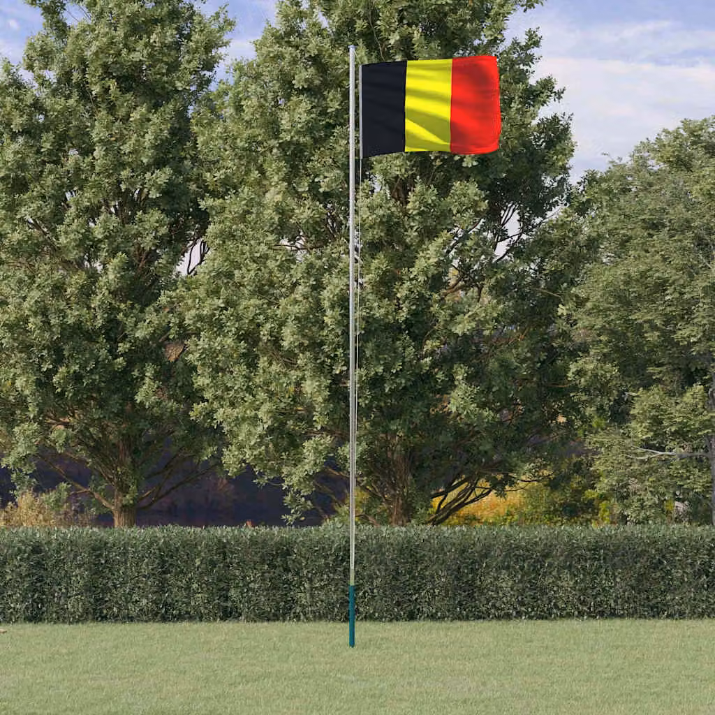Asta e bandiera del Belgio vidaXL in alluminio e poliestere, argento e multicolore, Altezza: 6,08 m