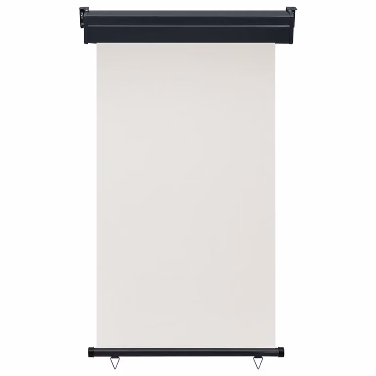 The Living Store Tenda da sole laterale per balcone 100 × 250 cm Crema