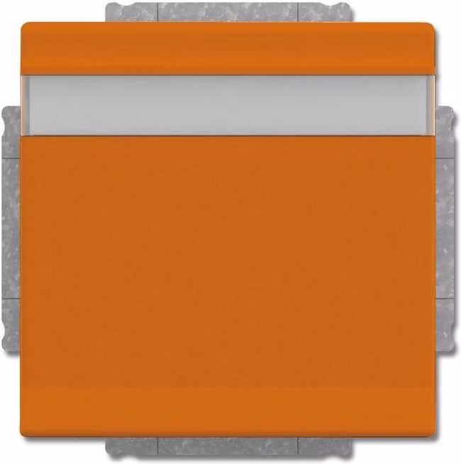 Busch-Jaeger Inserto per presa SCHUKO 20 EUKNB-12-82 2CKA002018A1533