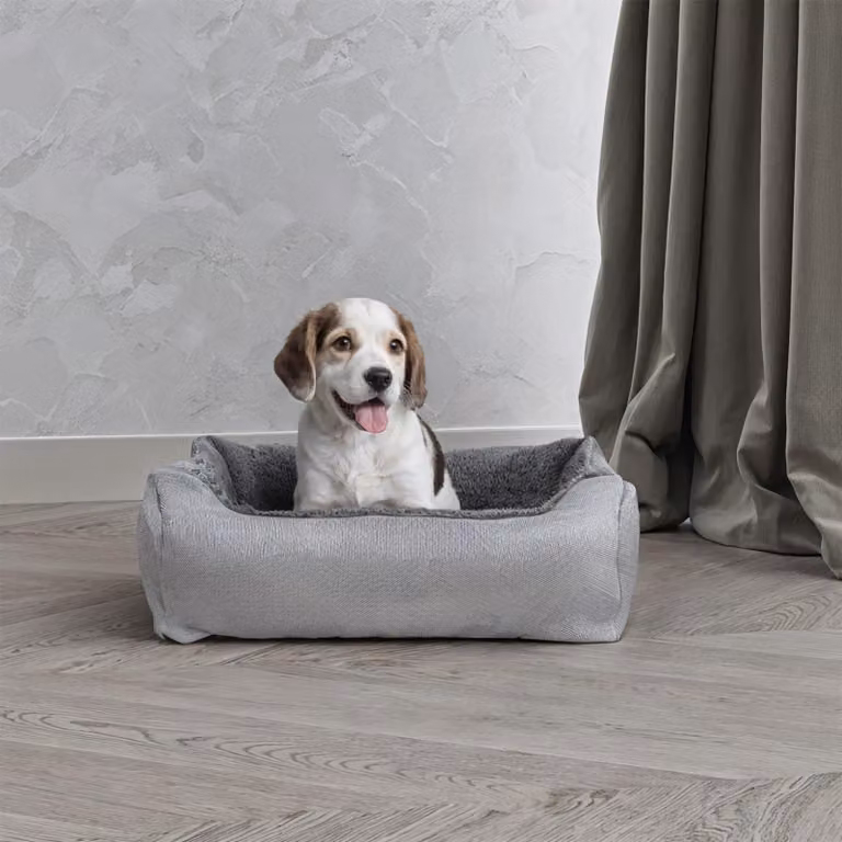 Cuccia reversibile per cani e gatti, color grigio chiaro