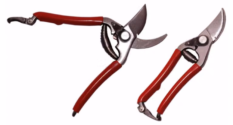 Sanpro forbici professionali 190 mm (forbici da potatura)