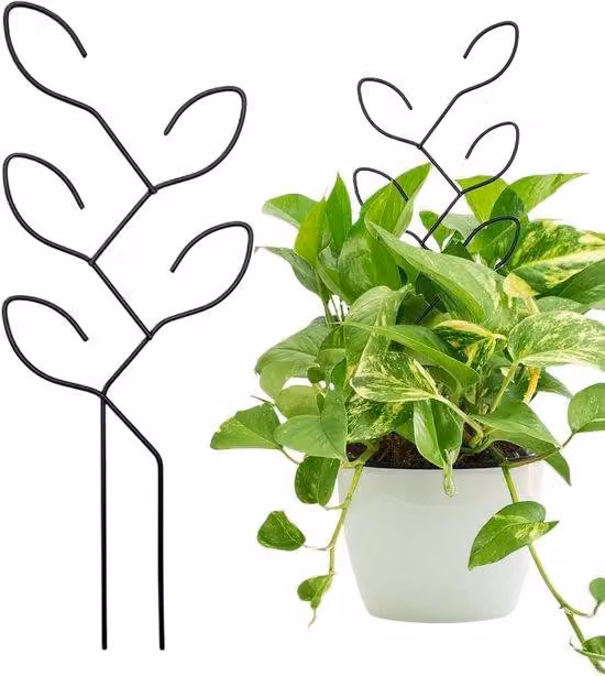 Supporto per piante da giardino - Struttura metallica robusta - Disposizione ordinata delle foglie - Supporto da giardino nero