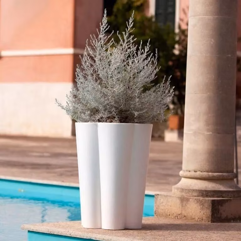 Vaso Lulet Kloris