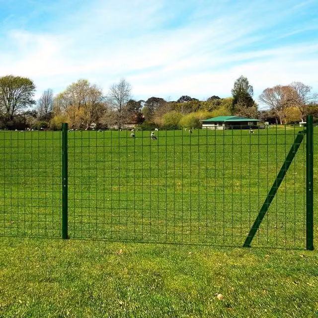 Recinzione Euro in Acciaio 25x1,7 m Verde 142380
