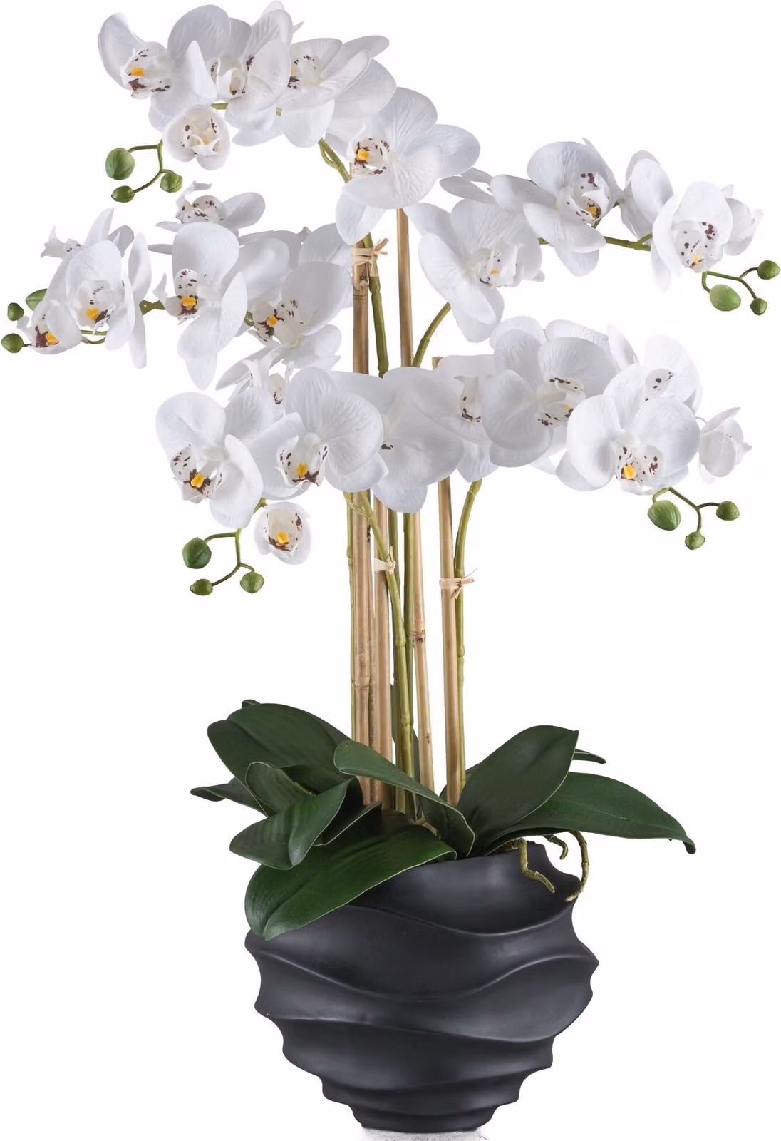 Orchidea Phalaenopsis 70 cm in bianco - Pianta artificiale di facile manutenzione in vaso nero