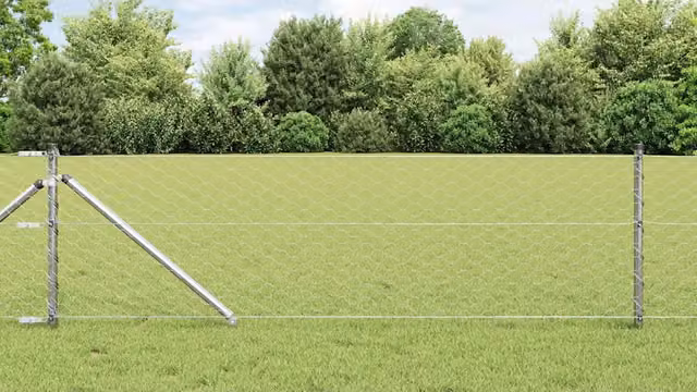 Recinzione esagonale con palo 50 x 0,6 m Acciaio zincato Rete 3353407