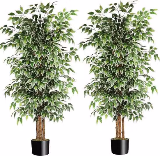 Ficus artificiale - Decorazione d'interni - Pianta realistica - Altezza 180 cm - Verde