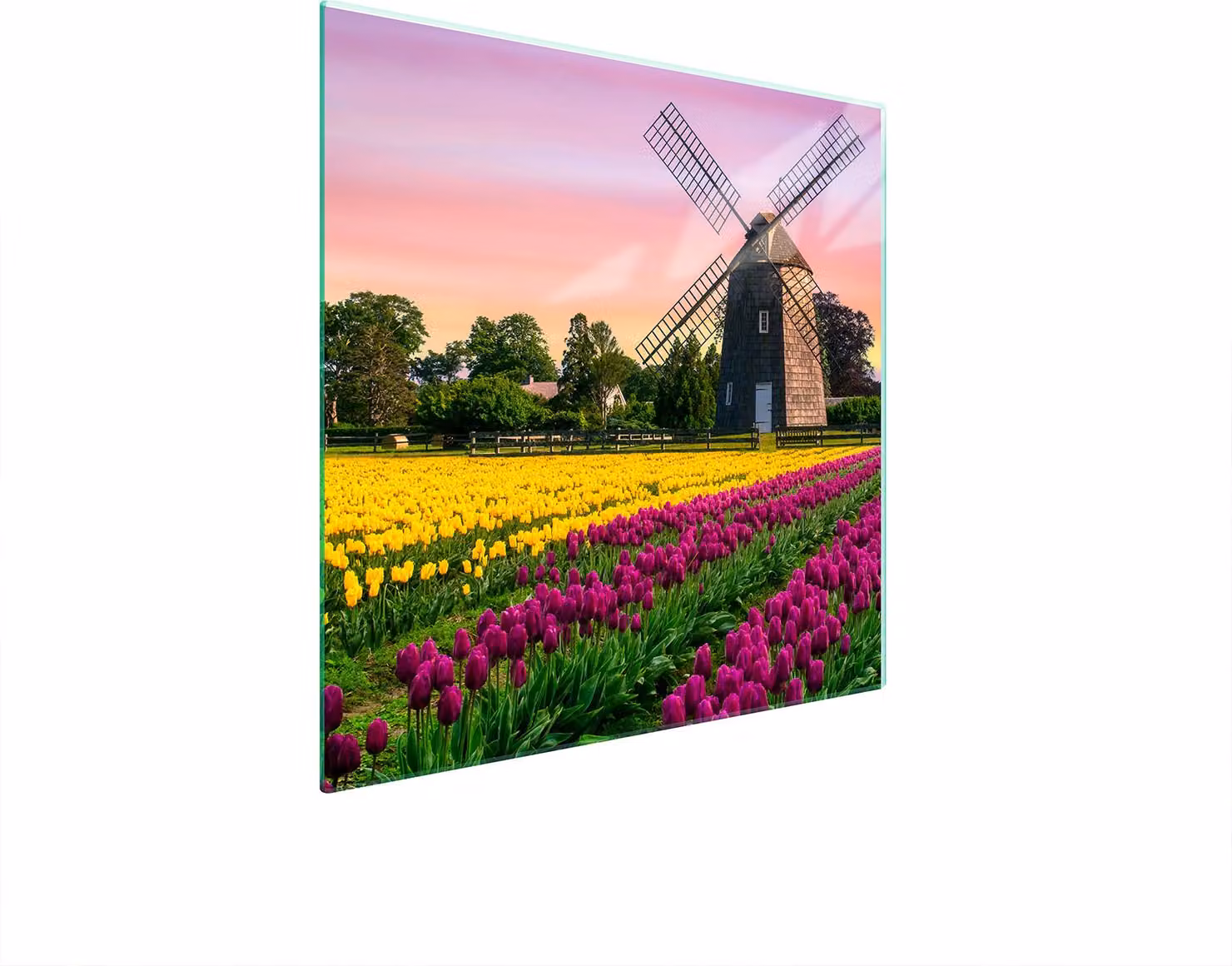 Piastra Di Protezione In Vetrina Per Levi 50X52 Meadow