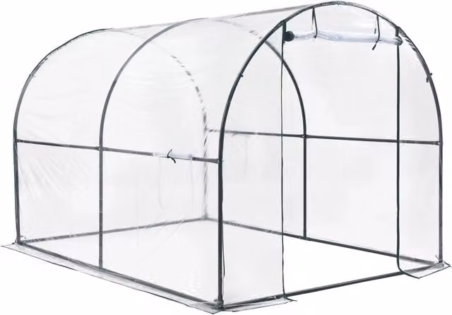 Serra a tunnel Grünwald in acciaio e PVC trasparente con finestra, L/P/H: 200 x 300 x 190 cm