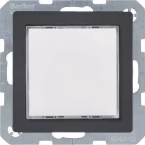 Berker 29536086 Luce di segnalazione a LED, illuminazione bianca, colore antracite, con Berker Q.1/Q.3